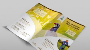 creation-edition-brochure-plaquette-federation-regionale-des-chasseurs-graphisme